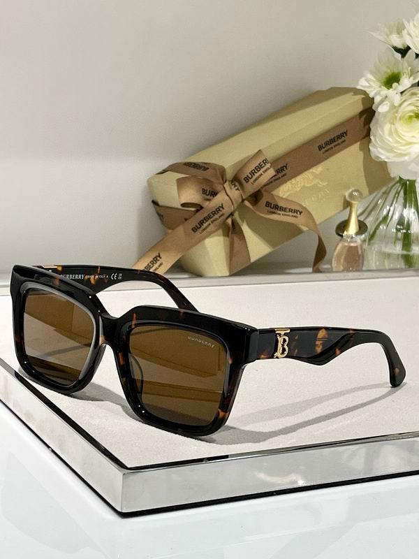 Burberry Sunglasses 313